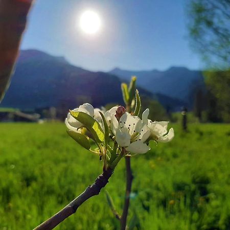 Pulvererhof Ахенкірх Екстер'єр фото