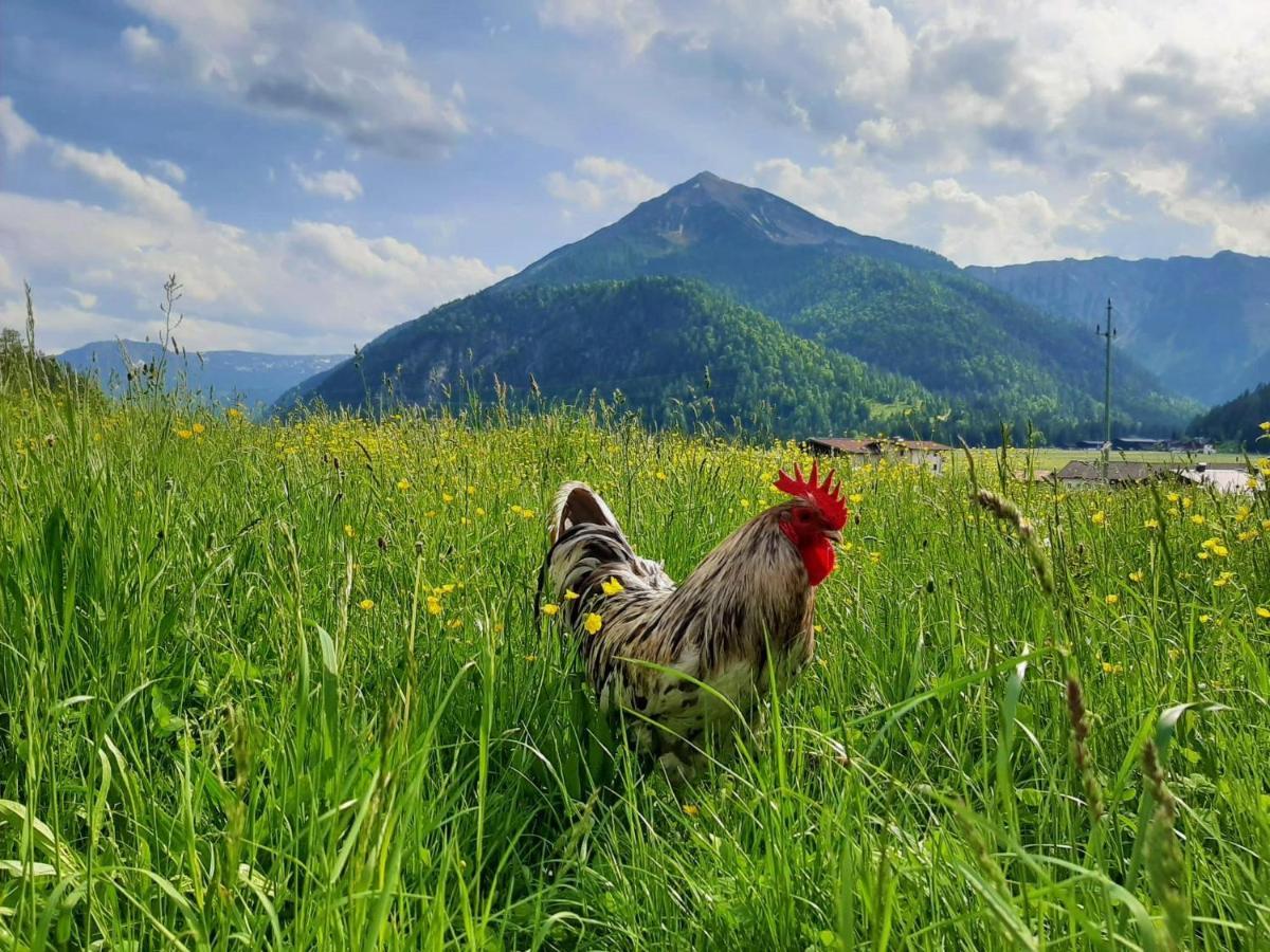 Pulvererhof Ахенкірх Екстер'єр фото